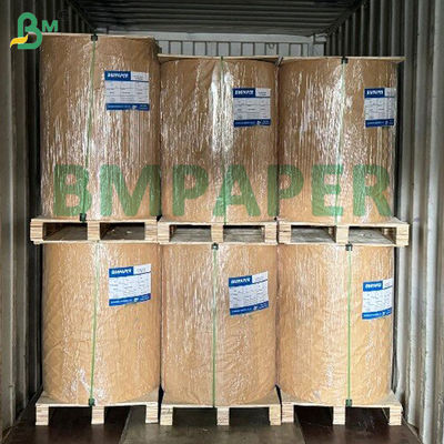 مقوای تاول پوشش داده شده با حرارت 320 گرم 350 گرم C1S