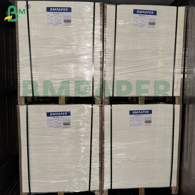 مقوا زیر لیوانی آبجو 460 گرمی 0.8 میلی‌متری | ورق‌های کاغذ جاذب 1200 میلی‌متر در 840 میلی‌متر