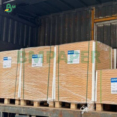 360 گرم مقوای غذایی قهوه‌ای CKB با استحکام خوب در ورق