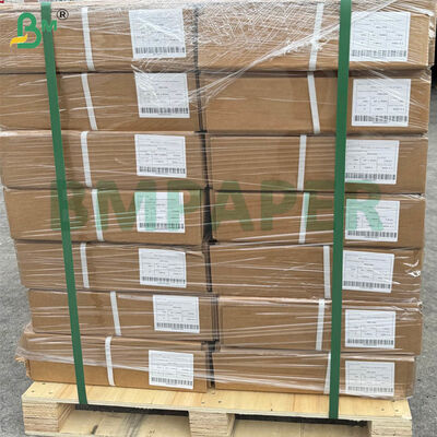 رول کاغذ پلاتر عریض A0 با گرماژ 80 گرم | 914 میلی‌متر × 50 متر، 5 رول در هر کارتن