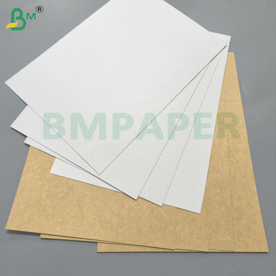 WTKB کارت غذایی یک طرفه کارت kraft پوشیده سفید برای بسته بندی مستقیم مواد غذایی