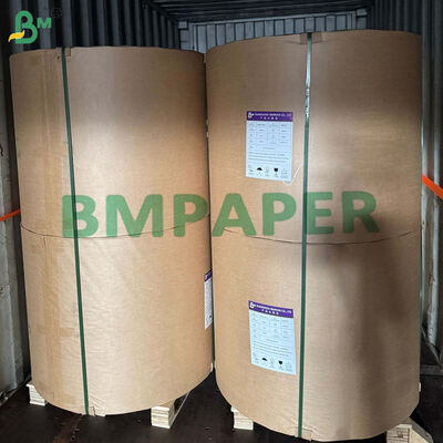 کاغذ مخصوص مواد غذایی 170 - 320 گرمی + کاغذ فنجانی 15 گرمی PE برای نوشیدنی‌های داغ ضد نشت 870 میلی‌متر