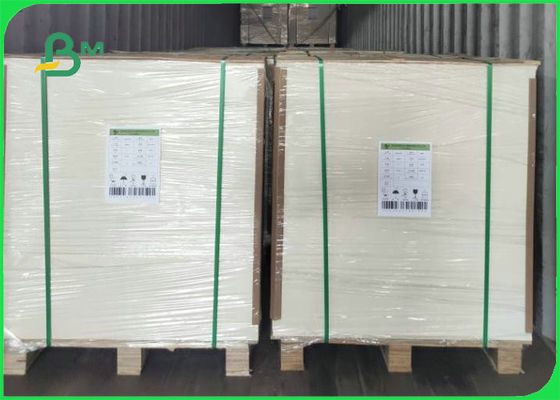 کاغذ مخصوص مواد غذایی 350gsm 0.61 mm برای سینی میان وعده High Bulky 25x 30.5 اینچ
