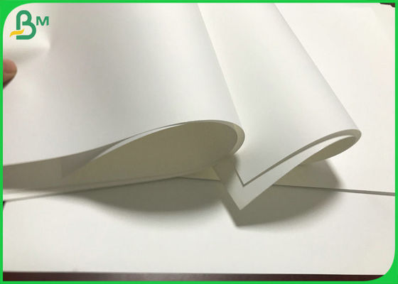 کاغذ مصنوعی با روکش سفید کاغذهای غیر اشکی با ضخامت 80 تا 350 میلی متر رول می کند