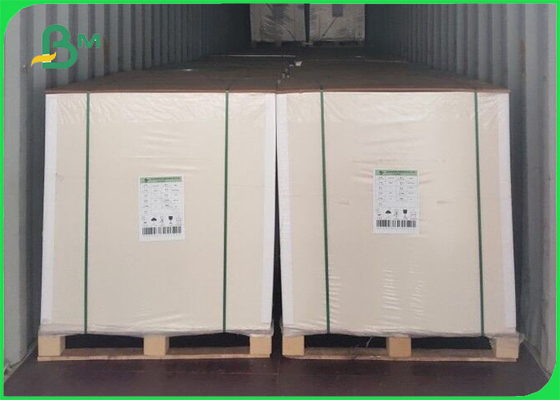 بسته بندی مواد غذایی با پوشش یک طرفه سفید بالا حجیم مقوا 350 گرم در متر 0.61 میلی متر