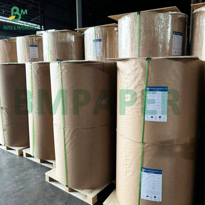 کفن های غیر چسبناک کفن های غیر سمی رنگ های مختلف کفن های کپ کیک کفن های کاغذ