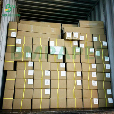 کاغذ شفاف 24 اینچ x 50 ید اسکیچ و رول رنگ سفید