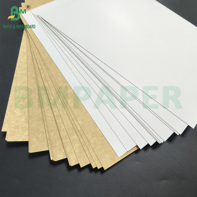 تمام رنگدانه پوشانده شده چند لایه kraft پشت صفحه 275gsm بالا سفید