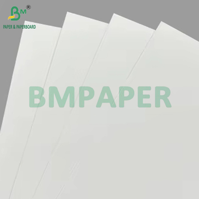 150gsm تا 320gsm C1S PE پوشانده جام استوک کارت کاغذی برای کاسه KFC 1020mm