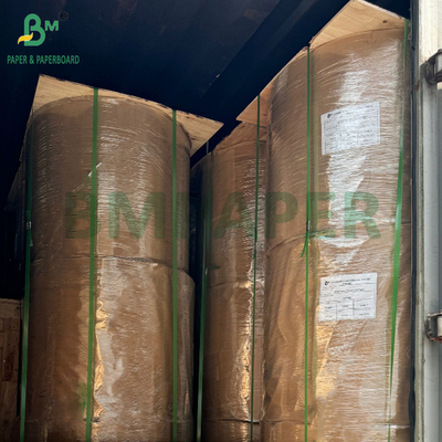 150gsm تا 320gsm C1S PE پوشانده جام استوک کارت کاغذی برای کاسه KFC 1020mm