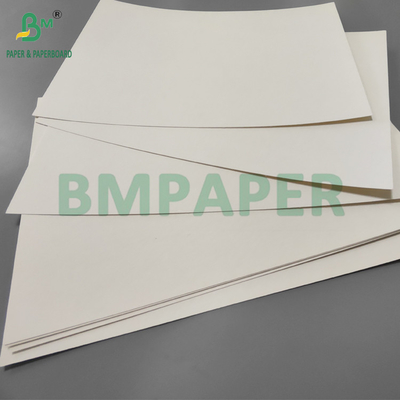 190 گرام + 15 گرام PE P1S فنجان کاغذ درخشش برای کافی شاپ ضد آب 720mm 880mm