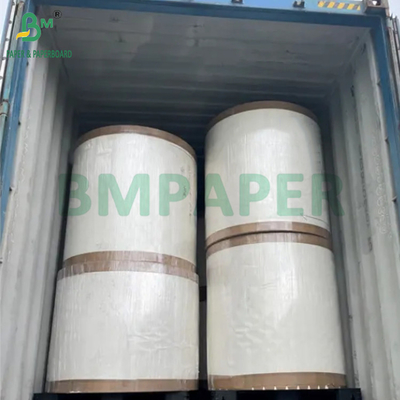 190 گرام + 15 گرام PE P1S فنجان کاغذ درخشش برای کافی شاپ ضد آب 720mm 880mm