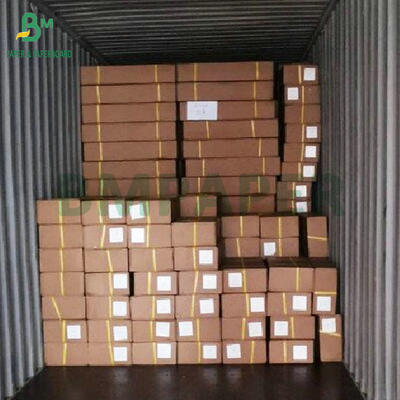 24'' رول شکل گسترده 20 پوند. CAD Inkjet Bond رول 5 رول در هر جعبه 2'' هسته
