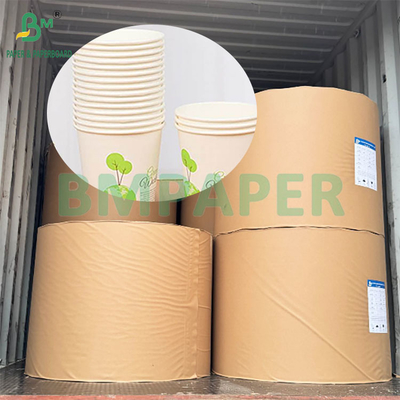 190gsm 320gsm+15gPE پوشش داده شده مواد غذایی درجه یکبار مصرف قهوه جام داغ
