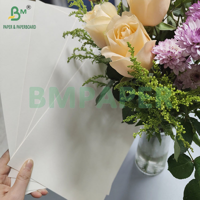 190gsm 320gsm+15gPE پوشش داده شده مواد غذایی درجه یکبار مصرف قهوه جام داغ