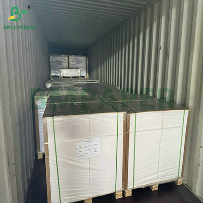 مواد غذایی درجه 250 گرام 737mm ضد آب Cupstock 1 PE کاغذ برای فنجان