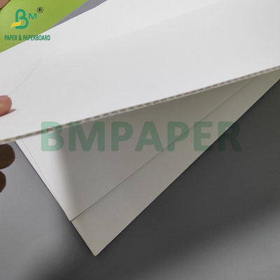 120+120+120g ورق کارتونی سفید لوله دار برای پوشش آرایشی 30 "x 40"