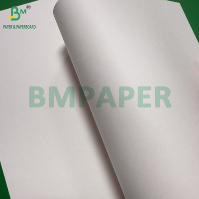 240g + 18g PE پوشش جام کاغذ استوک مات پایان یک طرفی رول سفارشی عرض 430mm - 2100mm