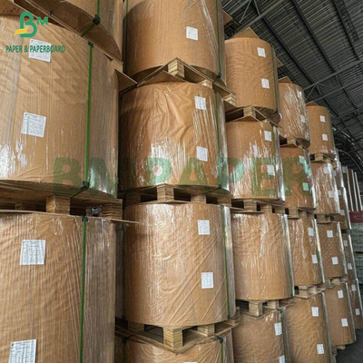 240g + 18g PE پوشش جام کاغذ استوک مات پایان یک طرفی رول سفارشی عرض 430mm - 2100mm