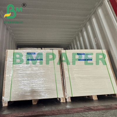 210gm چاپی PLA پوشش Kraft Cupstock کاغذ رول برای چای