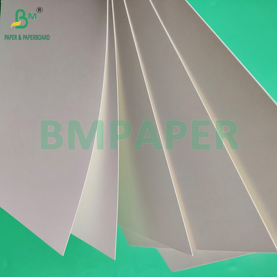 230gsm 260gsm تک طرفه PE پوشش ورق جام برای ساخت کاغذ جام