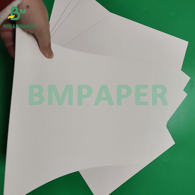 230gsm 260gsm تک طرفه PE پوشش ورق جام برای ساخت کاغذ جام
