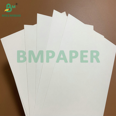 15g PE پوشش داده شده ضد آب 190gsm 210gsm فنجان کاغذ ذخیره برای تهیه نوشیدنی فنجان