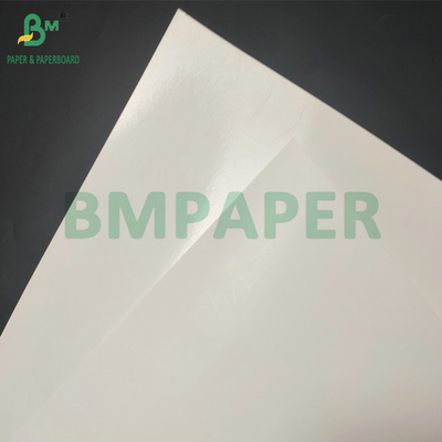 سطح صاف 290gsm + 15gsm PE SBS کارتونی برای جعبه بسته بندی یخ زده