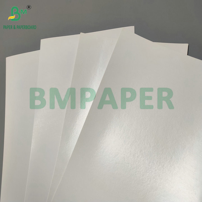 سطح صاف 290gsm + 15gsm PE SBS کارتونی برای جعبه بسته بندی یخ زده
