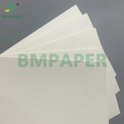18 گرام PE پوشش داده شده ضد آب 210gsm کاغذ کیف برای تهیه فنجان قهوه
