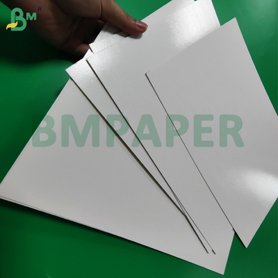 1 / S 295g + 15g PE پوشش داده شده کاغذهای غذایی منجمد برای بسته بندی میگو یخچال - امن