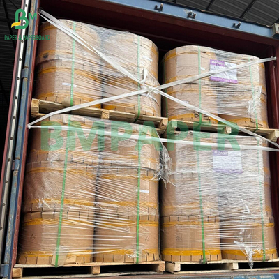 کاغذ محافظ بیرونی انبه ضد آب و حشره‌کش 56 گرمی