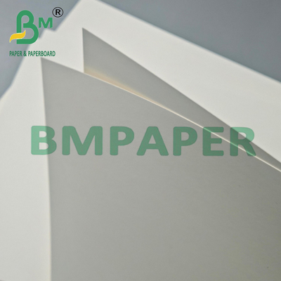 230gsm + 15g Bleached PE Coated Kraft Paper Roll For Cupstock Paper