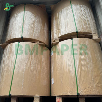 35gsm Odorless Cupcake Paper In Roll FDA  SGS for Air Fryer Cooking Oven Use