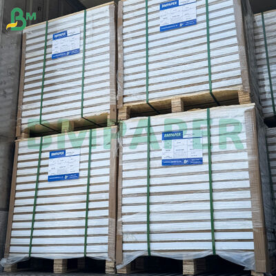 210gsm/230gsm 31 * 43 اینچ دو طرف پوشش داده شده رول های کاغذ هنری درخشان