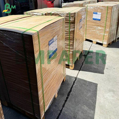 Parchment Paper Roll For Baking Cooking Grilling Steaming Unbleached