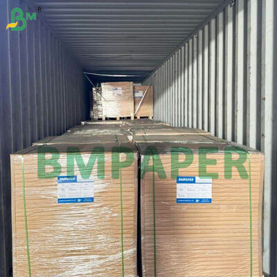 کاپ کیک کاغذی رنگی ضد نشت برای پخت شیرینی