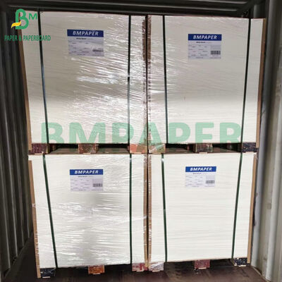 کارت پلتبر چاپی GSM 0.6mm 0.8mm ضخامت کاغذ سفید طبیعی جذب کننده برای آبجو