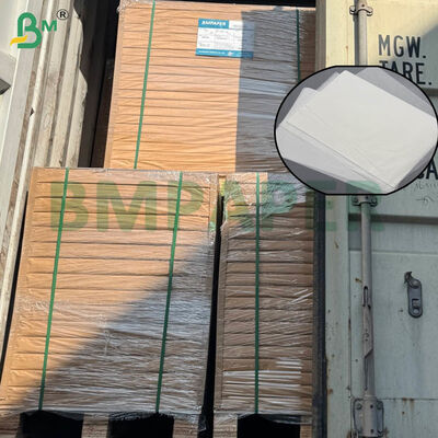 کاغذ فیلتر قهوه گرید غذایی با گواهینامه، در ابعاد بزرگ و با گزینه‌های وزن دوگانه برای دم کردن خانگی و تجاری