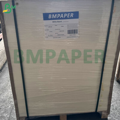 مقوا زیر لیوانی آبجو 460 گرمی 0.8 میلی‌متری | ورق‌های کاغذ جاذب 1200 میلی‌متر در 840 میلی‌متر