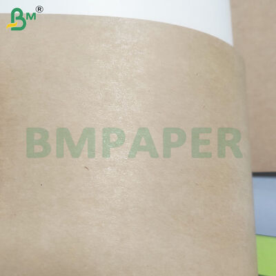 350gsm+10gsm PE Coated Kraft Bowl/Plate Paper Rolls Food Grade
