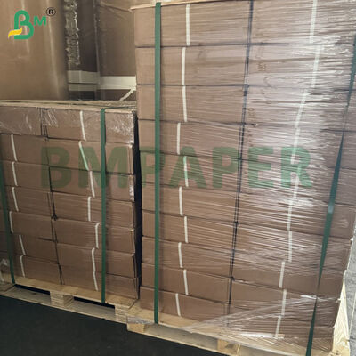 رول کاغذ پلاتر عریض A0 با گرماژ 80 گرم | 914 میلی‌متر × 50 متر، 5 رول در هر کارتن