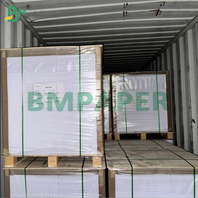 WTKB کارت غذایی یک طرفه کارت kraft پوشیده سفید برای بسته بندی مستقیم مواد غذایی