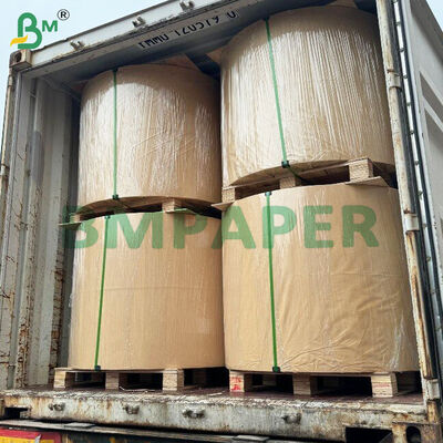 WTKB کارت غذایی یک طرفه کارت kraft پوشیده سفید برای بسته بندی مستقیم مواد غذایی