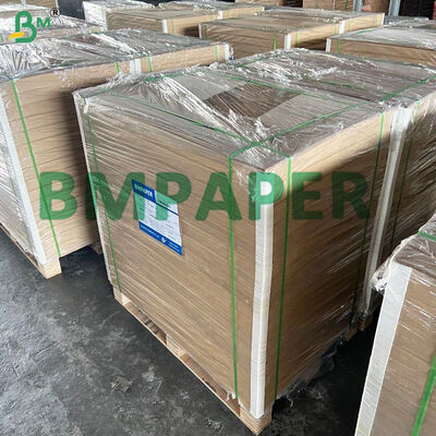 Bowl Kraft Paper For Take Aawy Hot Soup Double Poly Coated Paper