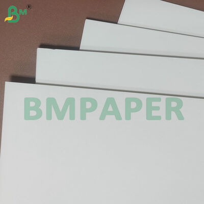 250gsm+10gsm PE Coated Cup Base Paper Sheets for Make Paper Cup