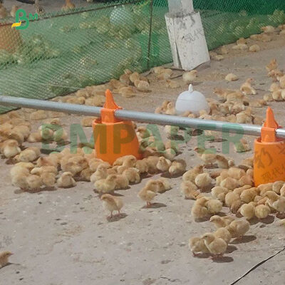 100% Biodegradable Recycled Chick Liner Paper Super Absorbent Anti-slip Poultry Bedding Paper Roll