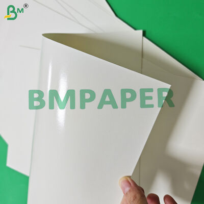 کاغذ مخصوص مواد غذایی 170 - 320 گرمی + کاغذ فنجانی 15 گرمی PE برای نوشیدنی‌های داغ ضد نشت 870 میلی‌متر