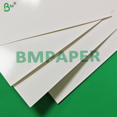 کاغذ مخصوص مواد غذایی 170 - 320 گرمی + کاغذ فنجانی 15 گرمی PE برای نوشیدنی‌های داغ ضد نشت 870 میلی‌متر