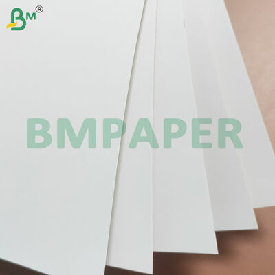 300gsm+10gsm Coating Oil Resistant White Cardboard for Food Box